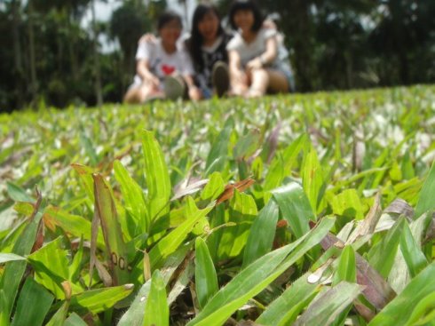 150000_10150094497807176_601877175_7286509_2549936_n